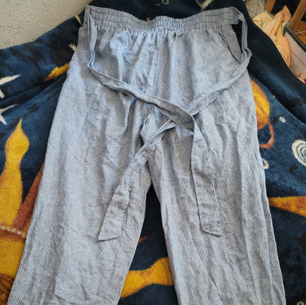 Max Studio Striped Pants